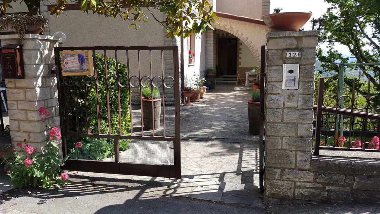 Le Casette Di Civitella La Casa Di Nonna Giulia Civitella Del Lago Zewnętrze zdjęcie
