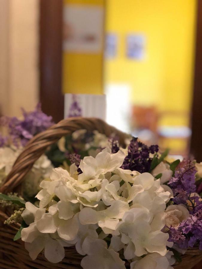 Le Casette Di Civitella La Casa Di Nonna Giulia Civitella Del Lago Zewnętrze zdjęcie